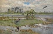 bruno liljefors Landscape With Cranes at the Water oil painting artist